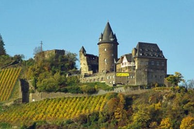 Duitse wijngaarden